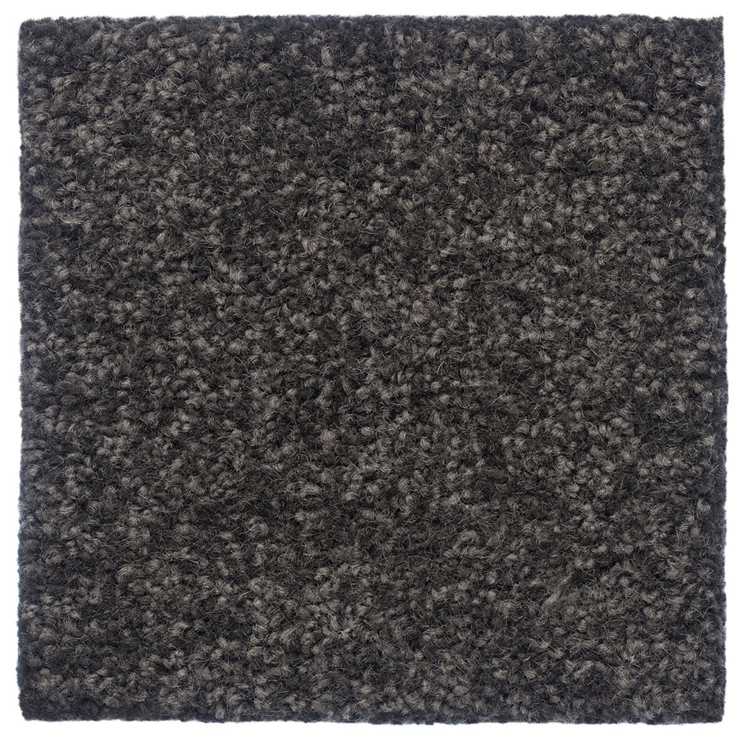 Cavarlier Bremworth-Wool The Hamptons