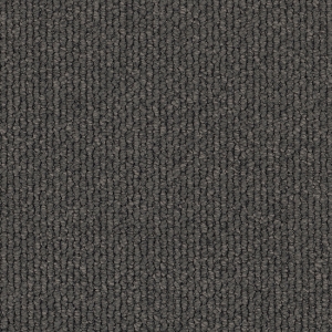 EC Carpet-SDN Andes Peak