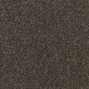 EC Carpet-SDN Sensations