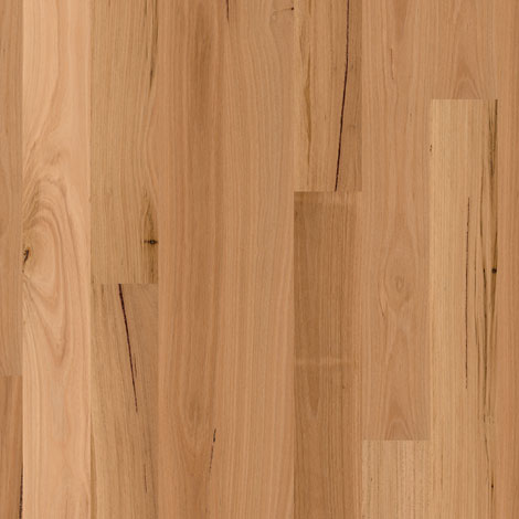 ReadyFlor Blackbutt 1 Strip