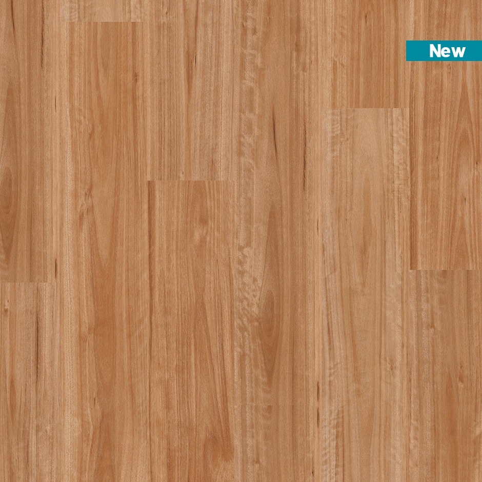 Quickstep-Titan Rigid Blackbutt