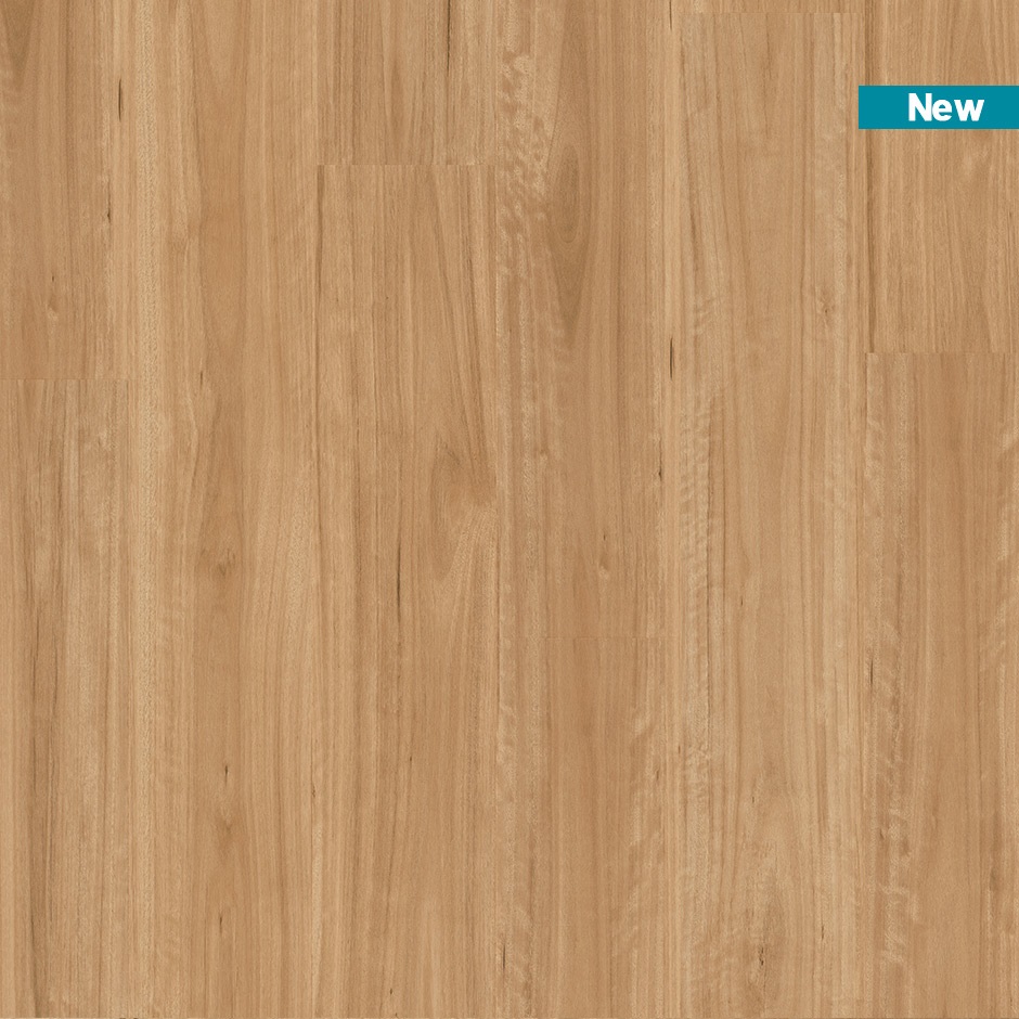 Quickstep-Titan Rigid Bleached Blackbutt