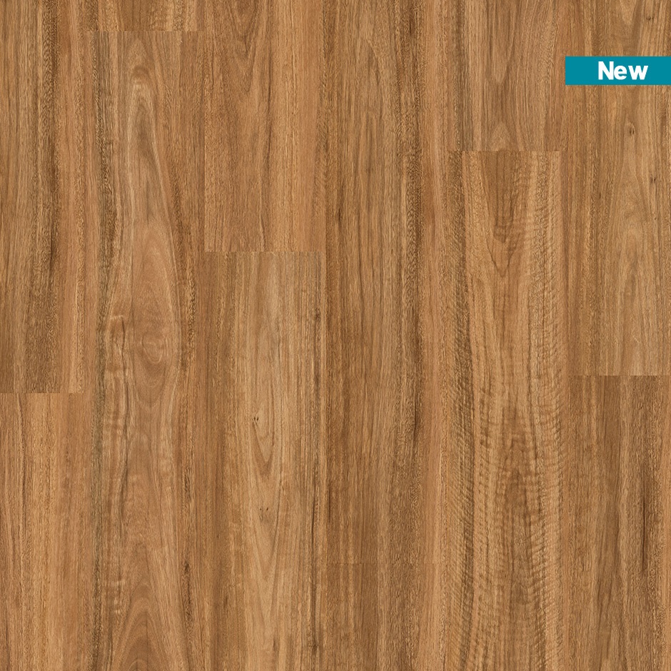 Quickstep-Titan Rigid Spotted Gum
